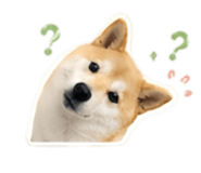 841238380