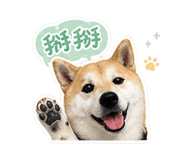 841238384