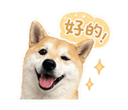 841238387