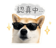 841238389