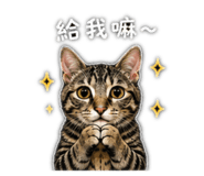 841238744