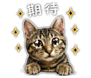 841238747