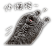 841239909