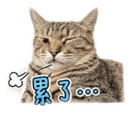 841240042