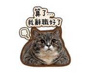 841240619