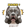 841241177