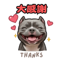 841241178