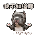 841241181