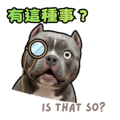 841241183