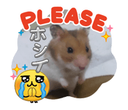 841241412