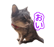 841241772