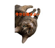841242410