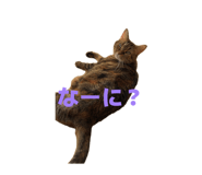841242414