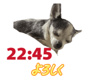 841242498