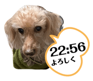 841242499