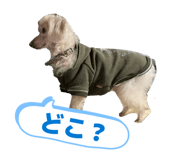 841242503
