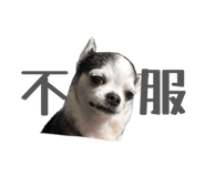 841242504