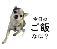 841242505