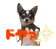 841242506