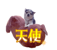 841242508