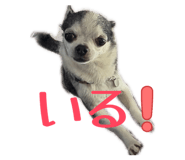 841242510