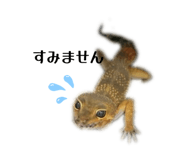 841242778