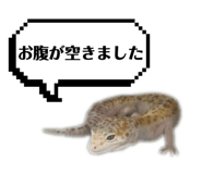 841242779