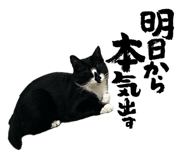 841242784