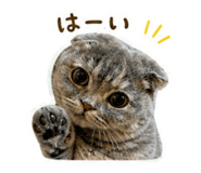 841243127