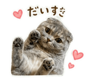 841243135