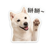 841243276