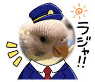 841243325