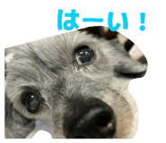 841243453