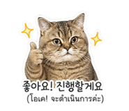 841243563