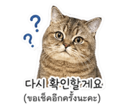 841243569