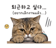 841243589