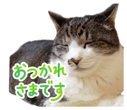 841243689