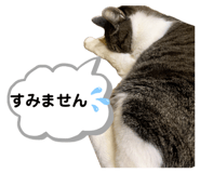 841243691