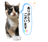 841243694