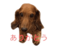 841243851