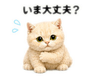 841243900