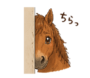 841244039