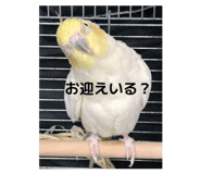 841245227