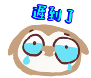841245313