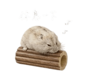 841245391