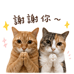 841245488