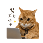 841245495