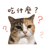 841245503