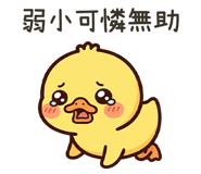 841246558