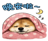 841247834